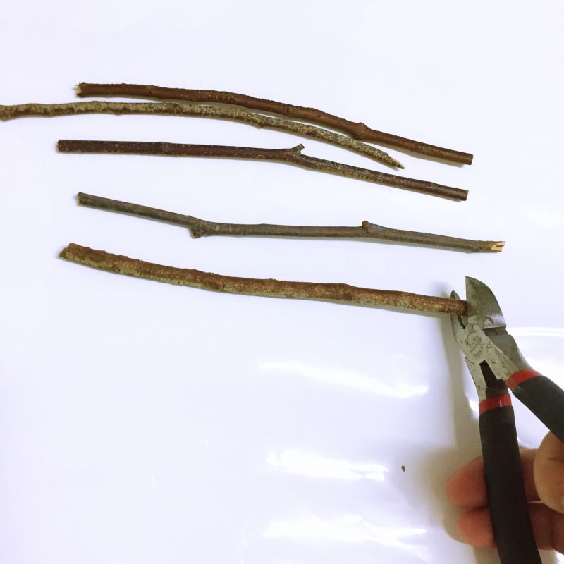 FullSizeRender 234_Fotor